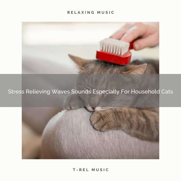 Stress Relieving Waves Sounds Especially For Household Cats - Pets Relax