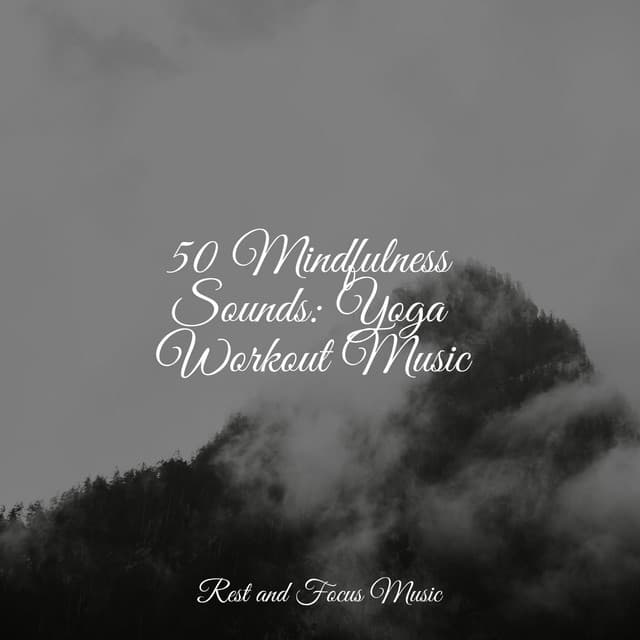 50 Mindfulness Sounds: Yoga Workout Music - Meditation Awareness