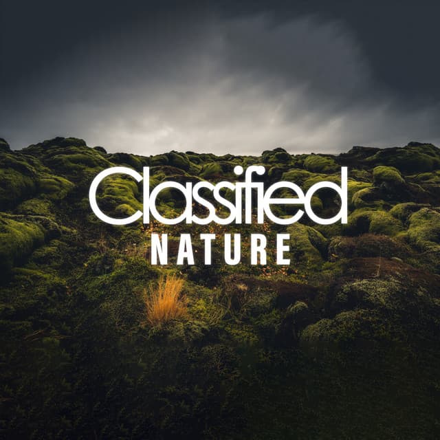 Classified Nature - Natural Sounds