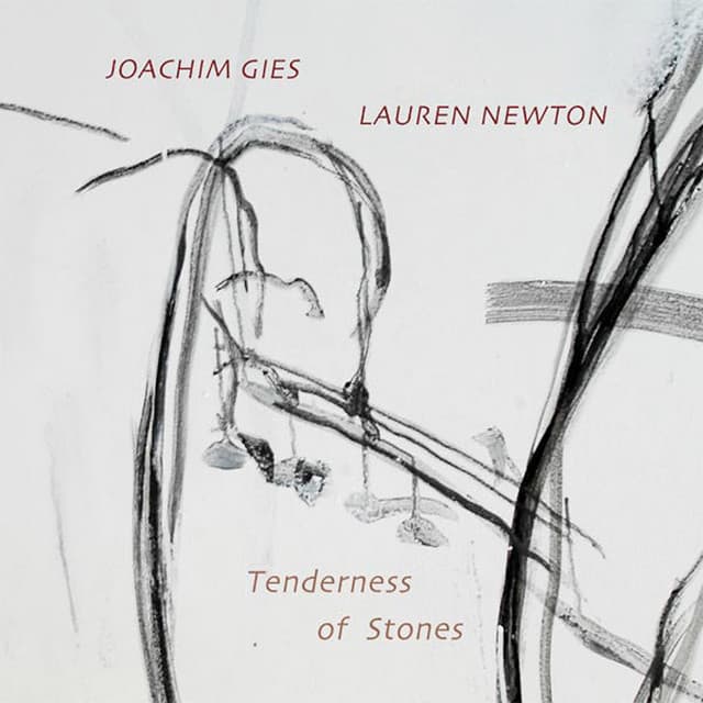 Tenderness of Stones - Joachim Gies