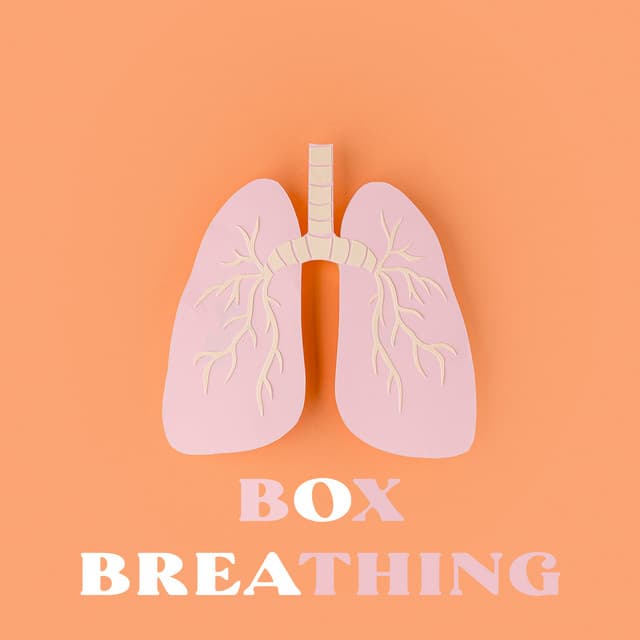 Box Breathing - Sergei Leif