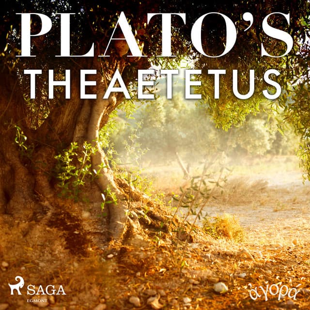 Plato's Theaetetus - Platon