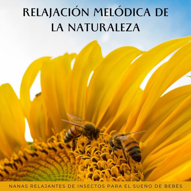 Relajación Melódica De La Naturaleza: Nanas Relajantes De Insectos Para El Sueño De Bebés - Orquesta de las Naturalezas
