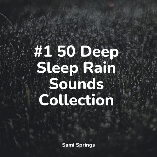 #1 50 Deep Sleep Rain Sounds Collection - Yoga Trainer