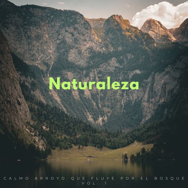 Naturaleza: Calmo Arroyo Que Fluye Por El Bosque Vol. 1 - Sonidos de agua Ruido blanco natural
