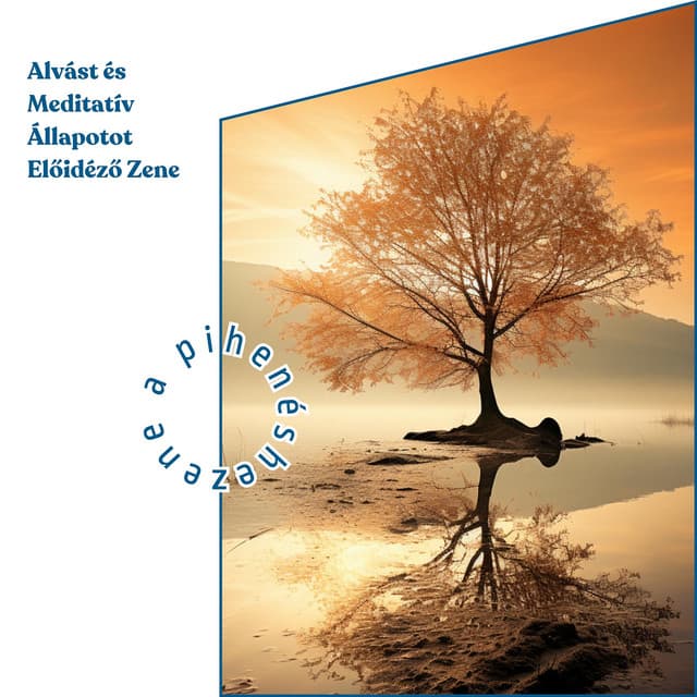 Alvást és Meditatív Állapotot Előidéző Zene - Zene a Pihenéshez