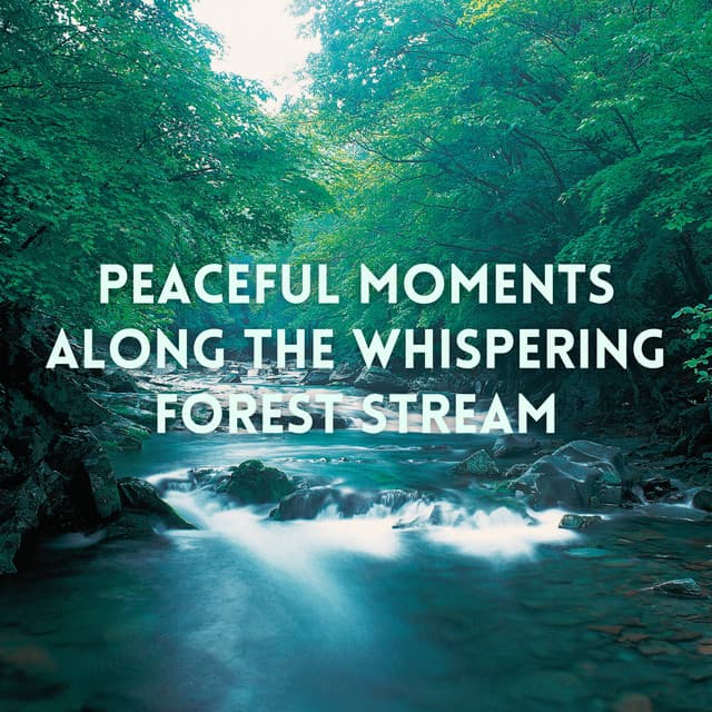 Peaceful Moments Along the Whispering Forest Stream - Nature Lab