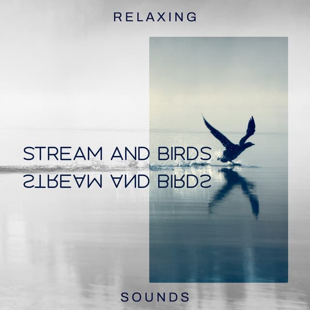 Relaxing Stream and Birds Sounds: Focus & Meditation Music - Calm Singing Birds Zone