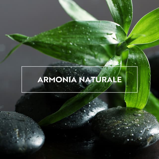 Armonia naturale: Crea il tuo spazio di calma spirituale, chiarezza ed equilibrio tra mente e corpo - Relax musica zen club
