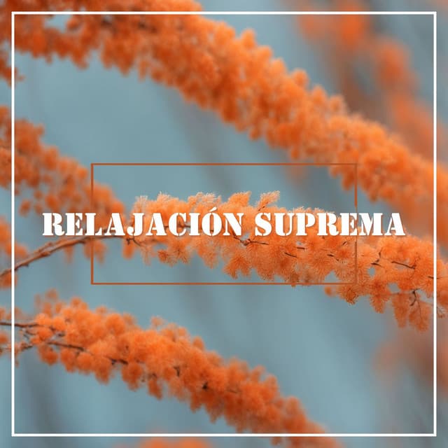 Relajación Suprema: Sonidos New Age para Paz Interior - Mantra Deva