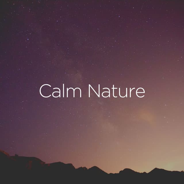 Calm Nature - Nature of Sweden