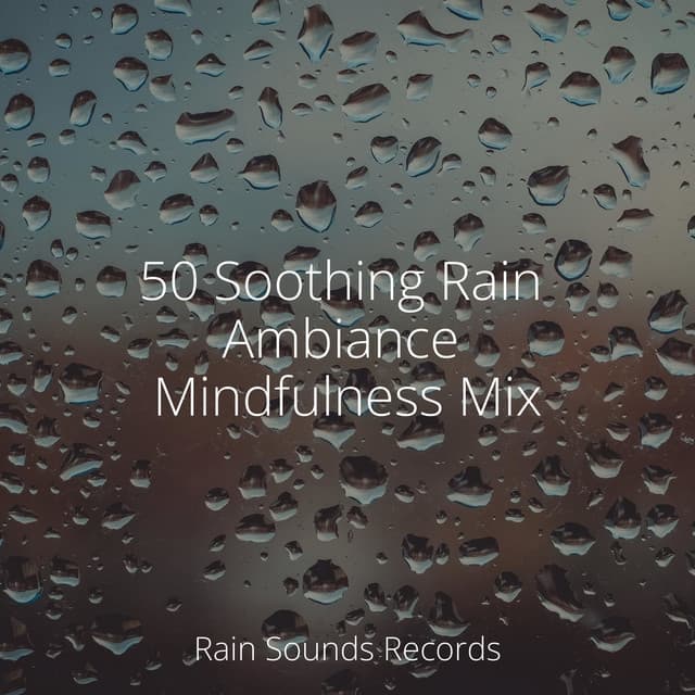 50 Soothing Rain Ambiance Mindfulness Mix - Musica Para Estudiar Academy