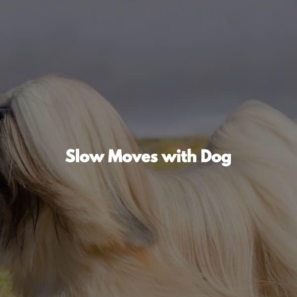 Slow Moves with Dog - Norway Jazz Norge