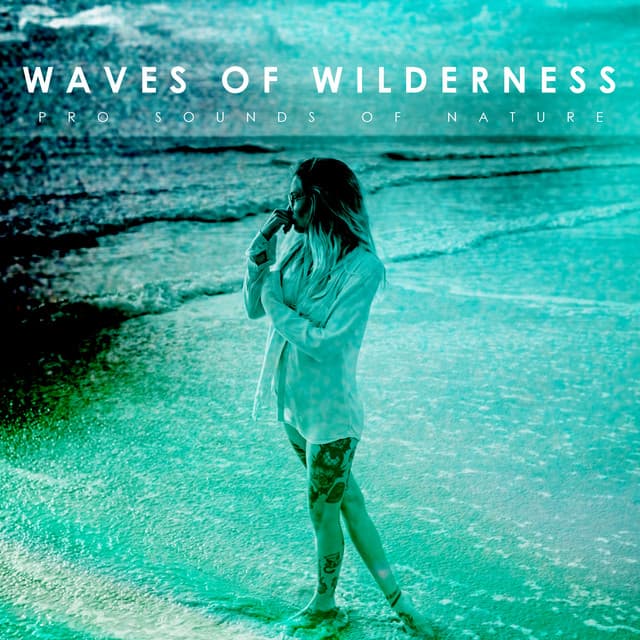 Waves Of Wilderness - Pro Sounds of Nature