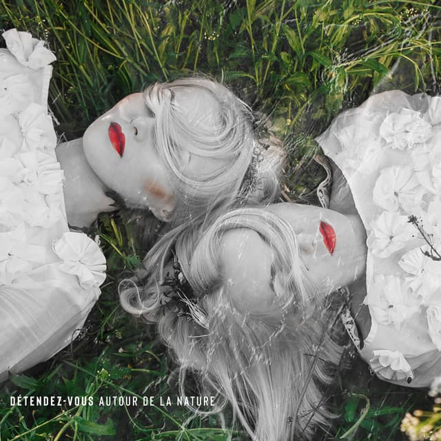 Détendez-vous autour de la nature: allongé dans l'herbe et pensant à la vie - Serenity Nature Sounds Academy