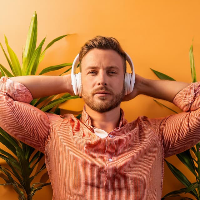 Flujo Lofi: Patrones Rítmicos Calmantes - Televisión de la naturaleza