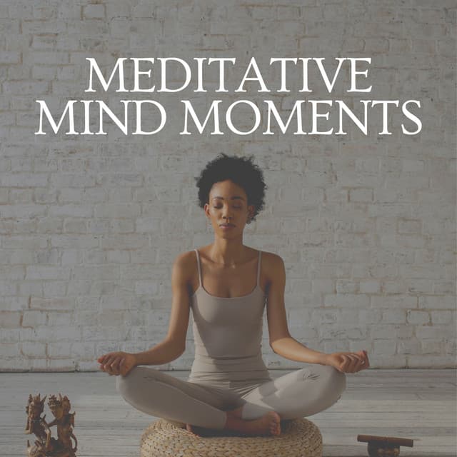 Meditative Mind Moments - Music for Deep Meditation