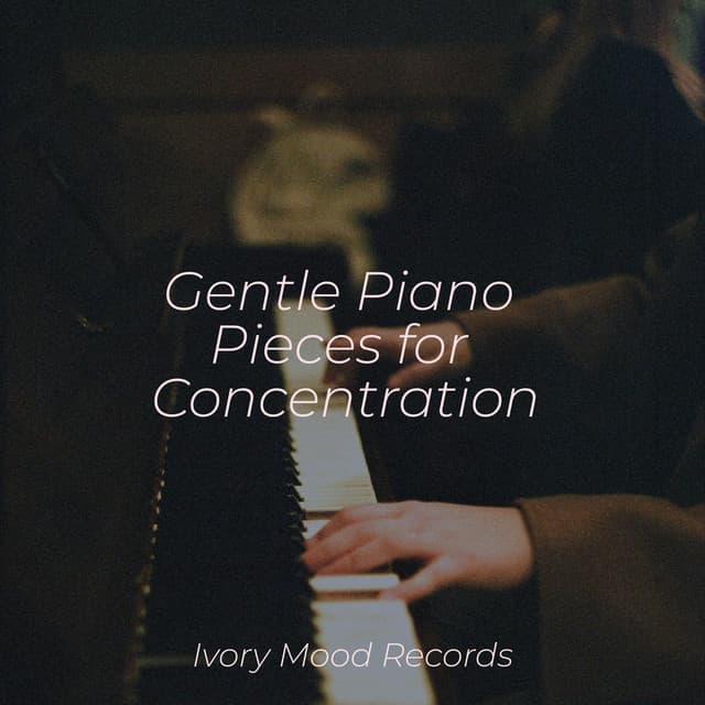 Gentle Piano Pieces for Concentration - Ivory Mood