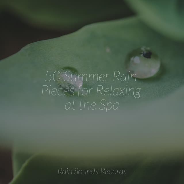 50 Summer Rain Pieces for Relaxing at the Spa - Musica para Dormir Dream House
