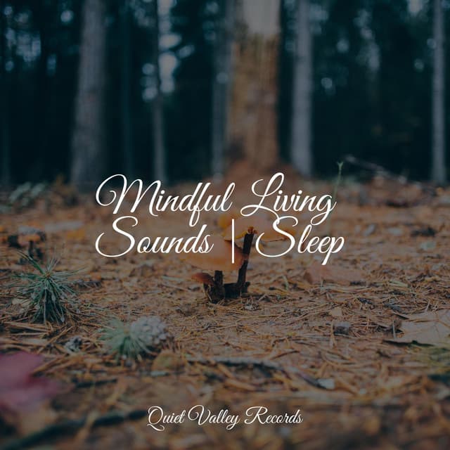 Mindful Living Sounds | Sleep - Namaste Healing Yoga