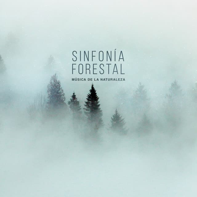 sinfonía forestal - Música de la Naturaleza