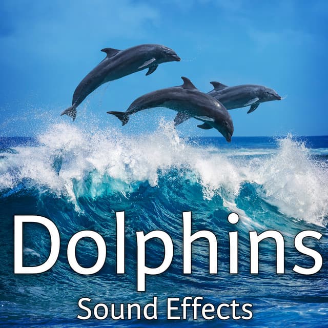 Dolphins Sound Effects - Sound Ideas