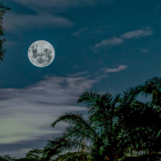 50 Flowing Soundscapes: Pearl Moon - Sea Waves Sounds