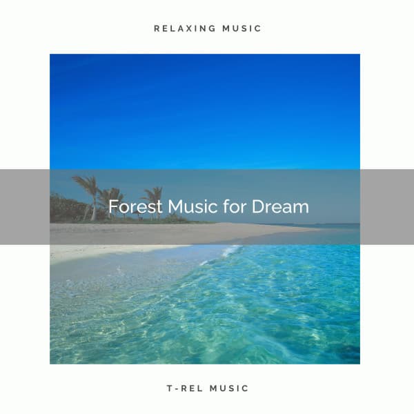 01 Forest Music for Dream - Spa Music Hour