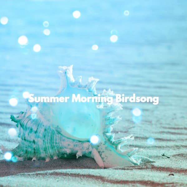 Summer Morning Birdsong - Música para Oficinas Clasico