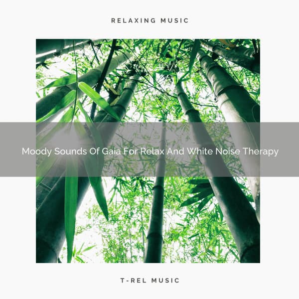 Moody Sounds Of Gaia For Relax And White Noise Therapy - Forest Soundscapes