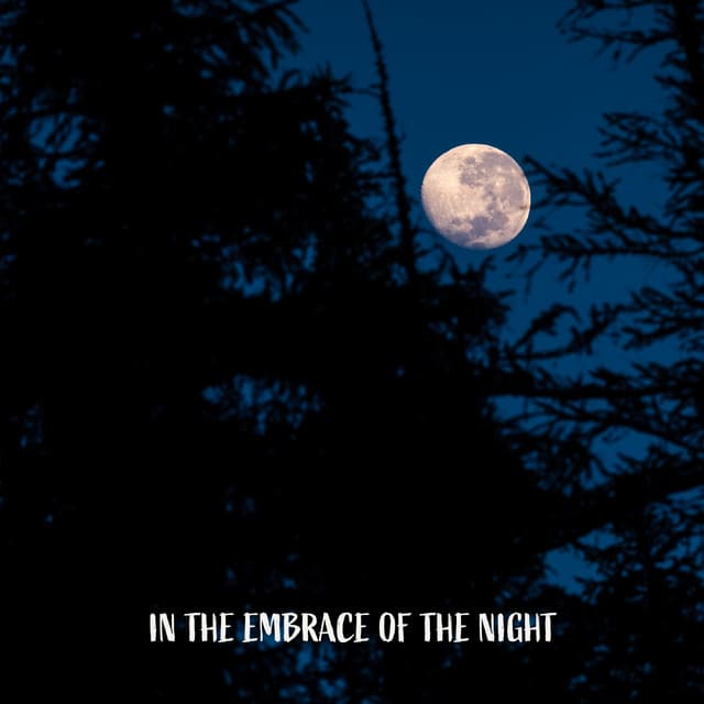 In the Embrace of the Night: Sleepy Mood, Real Dreams, Music for Evening Relief - Sleep Cycles Music Collective