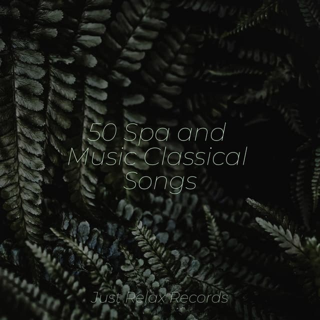 50 Spa and Music Classical Songs - Meditation Awareness