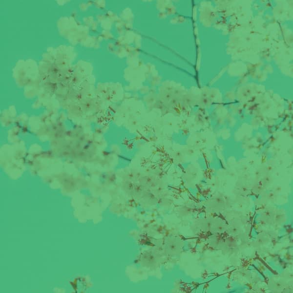 Ambiance for Sleeping In - Sleepy Times