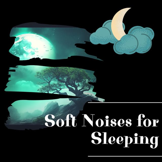 Night Sounds: Soft Noises for Sleeping - Night Sounds Channel