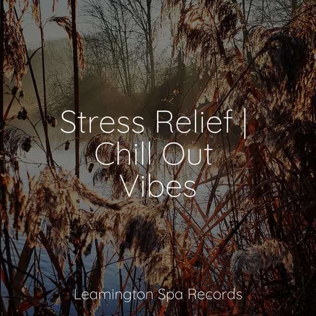 Stress Relief | Chill Out Vibes - Deep Horizon Waves