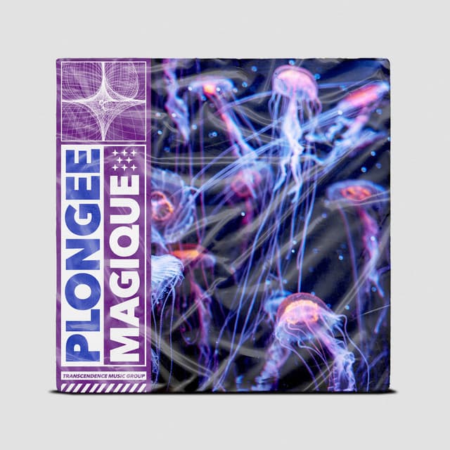 Plongée Magique - Zen Ambiance D'eau Calme