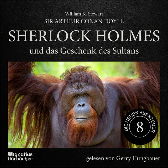 Sherlock Holmes und das Geschenk des Sultans - Sherlock Holmes - Die neuen Abenteuer