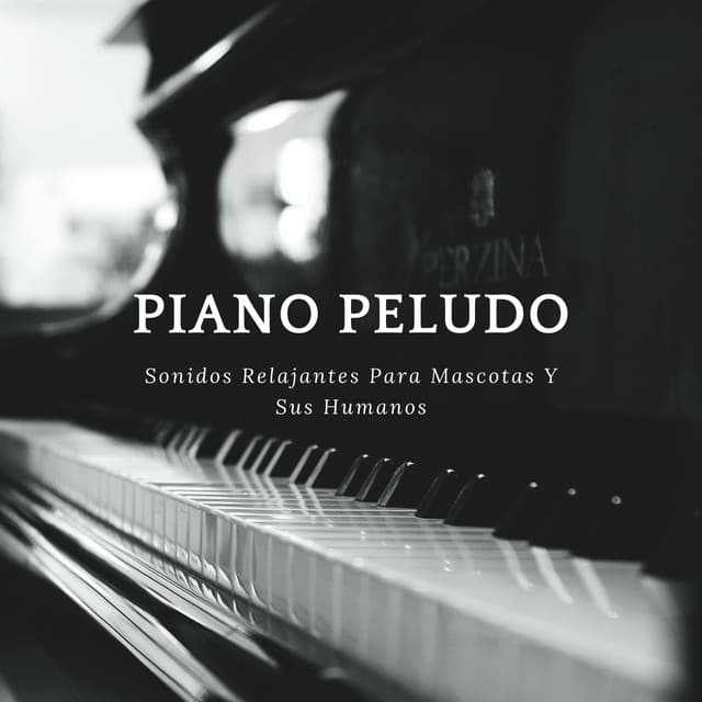 Piano Peludo: Sonidos Relajantes Para Mascotas Y Sus Humanos - Gato de piano