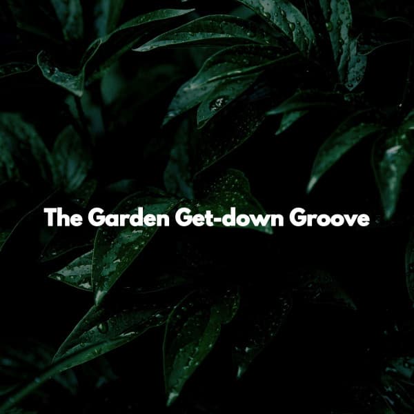 The Garden Get-down Groove - Restaurante Jazz Musica De Fondo