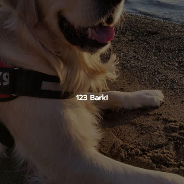 123 Bark! - Jazz Music Cafe