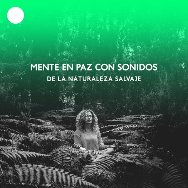 Mente en Paz con Sonidos de la Naturaleza Salvaje, Música de Meditación para la Relajación Total - Técnicas de Meditación Academia