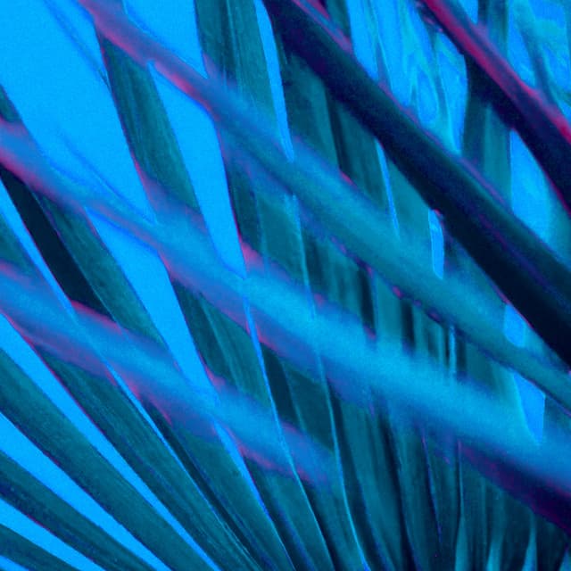 Organica Groove - danyvin