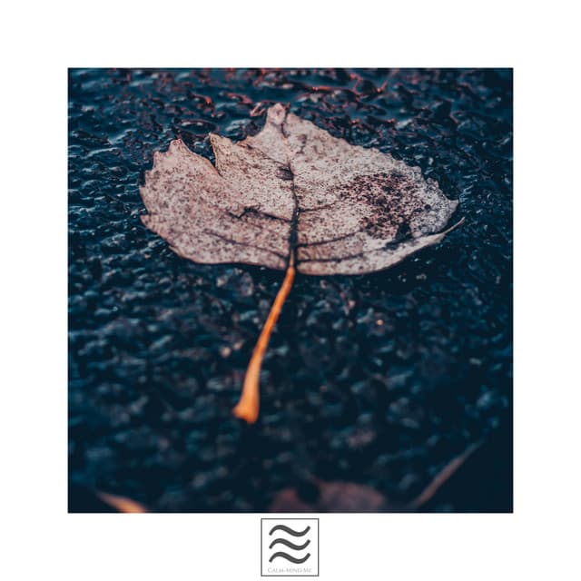 Peaceful Sounds of Calming Noises and Raining with Bowls - Sleep Hunters