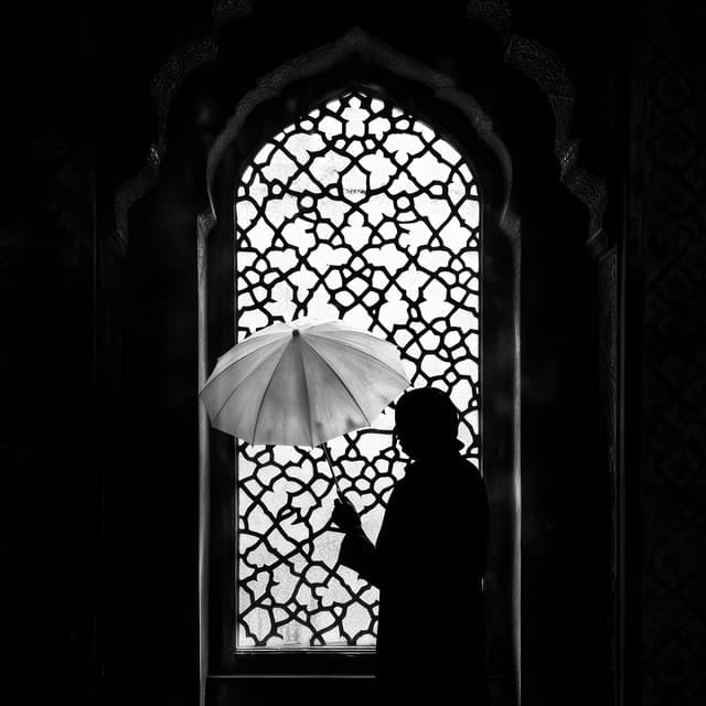 Raindrops and Memories - Forest Rain FX