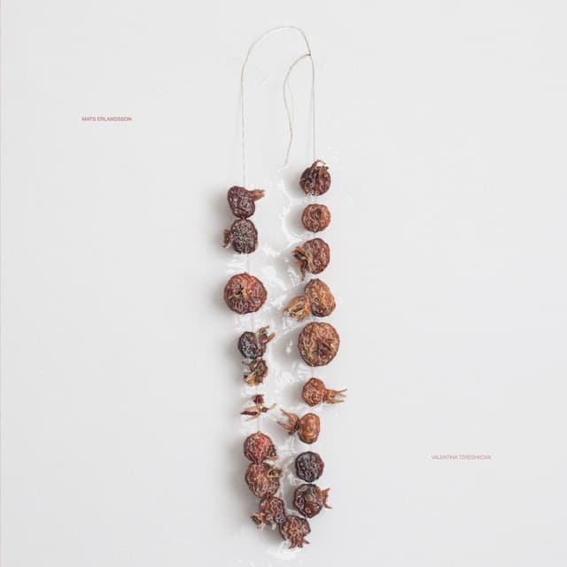 Valentina Tereshkova - Mats Erlandsson