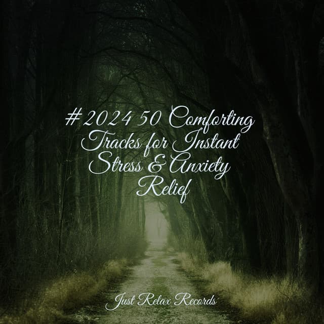 #2024 50 Comforting Tracks for Instant Stress & Anxiety Relief - Chakra Balancing Sound Therapy
