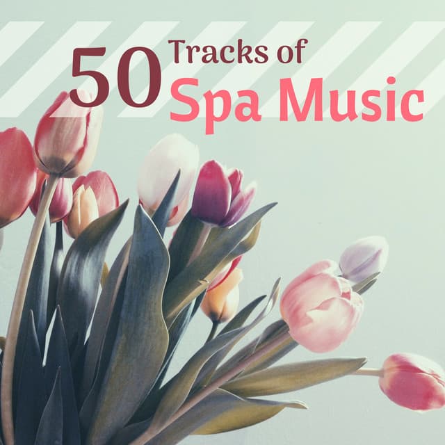 50 Tracks of Spa Music - Collective Hotel & Wellness Songs - Spa Music Collective