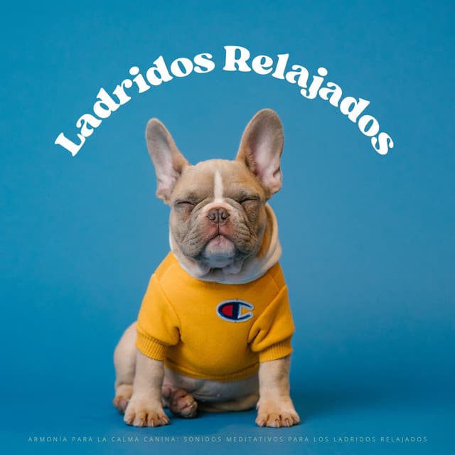 Armonía Para La Calma Canina: Sonidos Meditativos Para Los Ladridos Relajados - Música para Desayuno