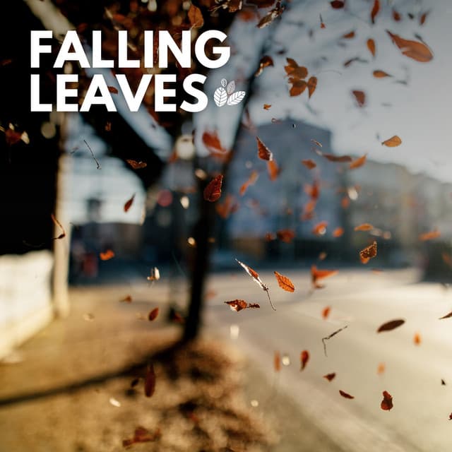 Falling Leaves - Nature & Sounds Backgrounds