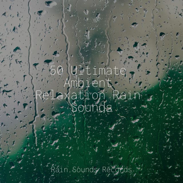 50 Ultimate Ambient Relaxation Rain Sounds - Study Music & Sounds